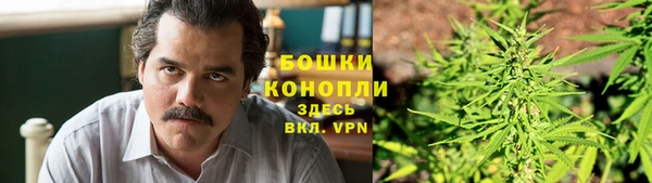 твердый Костерёво