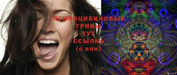 твердый Костерёво