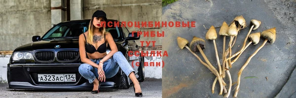 твердый Костерёво