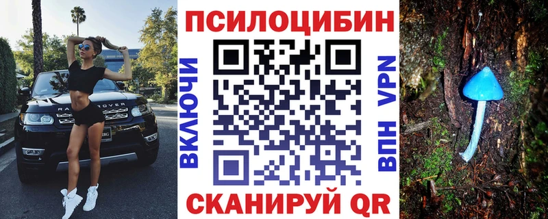 Псилоцибиновые грибы Psilocybine cubensis  Купить закладки  Макаров 