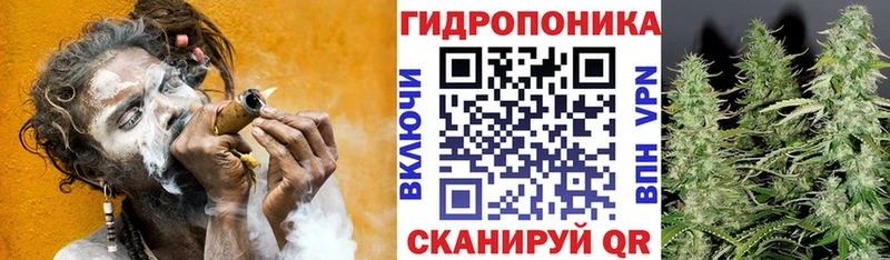 Купить закладки  Макаров  МАРИХУАНА VHQ 